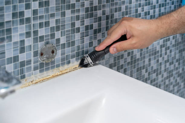 Best Office Mold Removal Services  in Sesser, IL